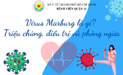 Virus Marburg là gì? Triệu chứng, điều trị và phòng ngừa